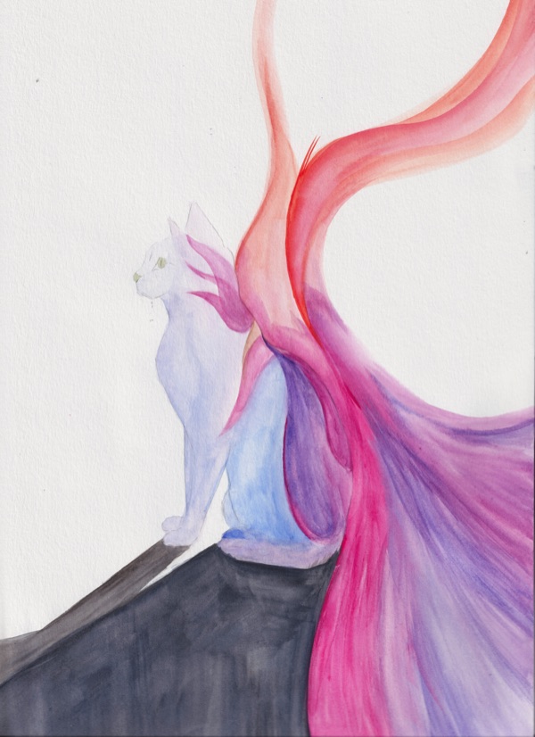 The Invisible Anatomy